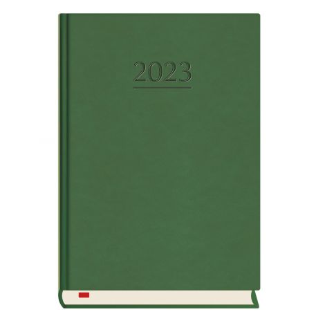 2024 Kalendarz MiP Powszechny B6, Zielony